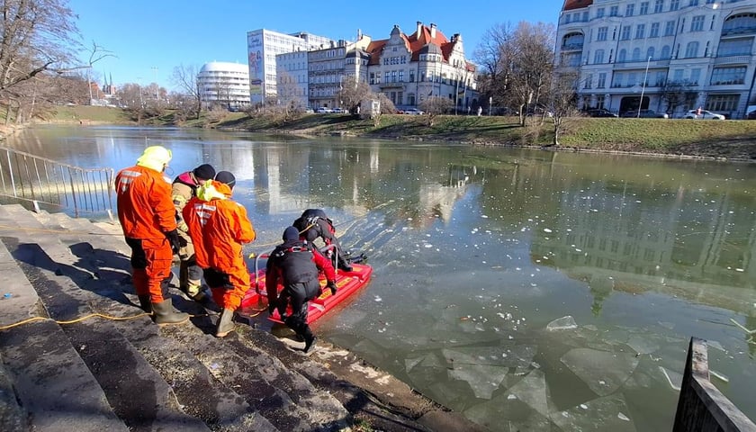 Ćwiczenia straży pożarnej na fosie we Wrocławiu. Widać grupę strażaków i sanie lodowe.