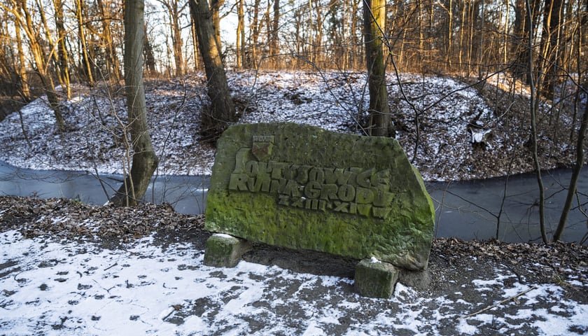 <p>Teren dawnego dworu rodziny Dumlose w Sołtysowicach</p>