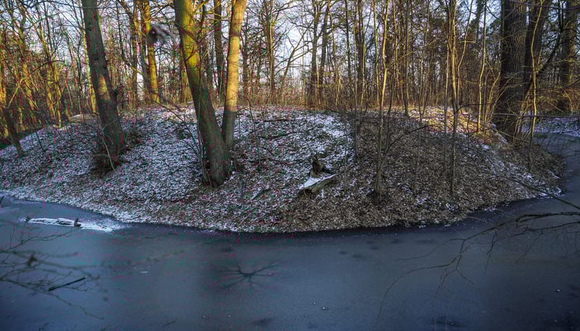 <p>Teren dawnego dworu rodziny Dumlose w Sołtysowicach</p>