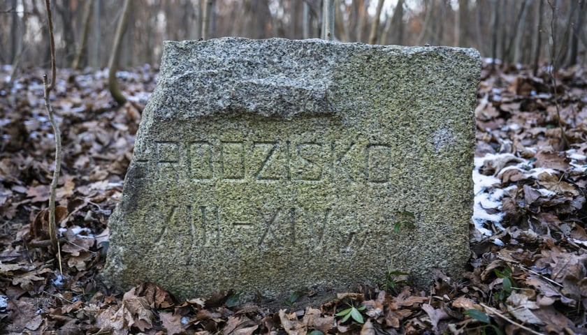 Teren dawnego dworu rodziny Dumlose w Sołtysowicach