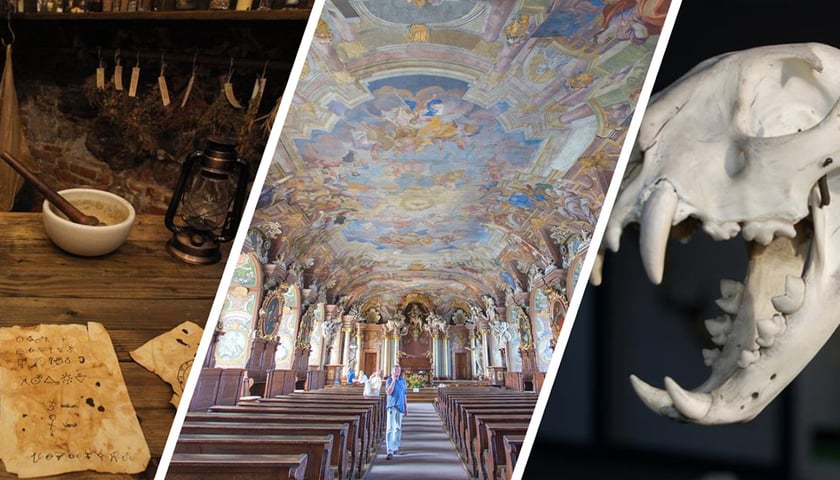 Powstał Szlak Muzeów Uczelnianych we Wrocławiu