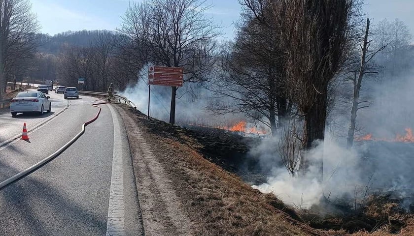 Pożar traw w okolicy Kaczorowa