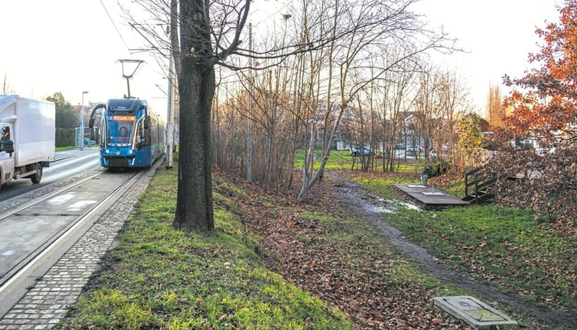 Jeden tor tramwajowy prowadzący ulicą Przyjaźni do pętli o nazwie  Klecina