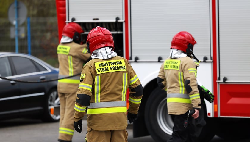 Strażacy w mundurach, w tle wóz strażacki, zdjęcie ilustracyjne 