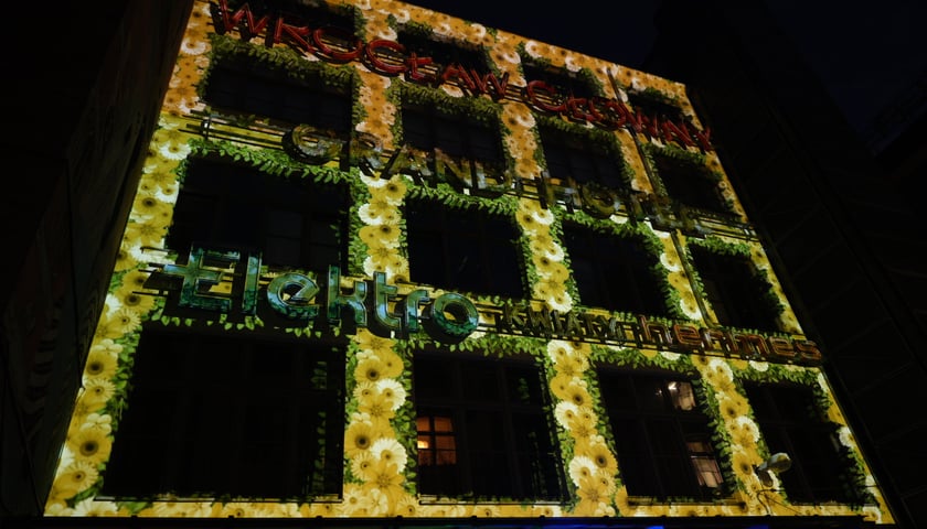 Wrocławska galeria neonów przy Ruskiej znów świeci! Niezwykły pokaz - 5.04.2025