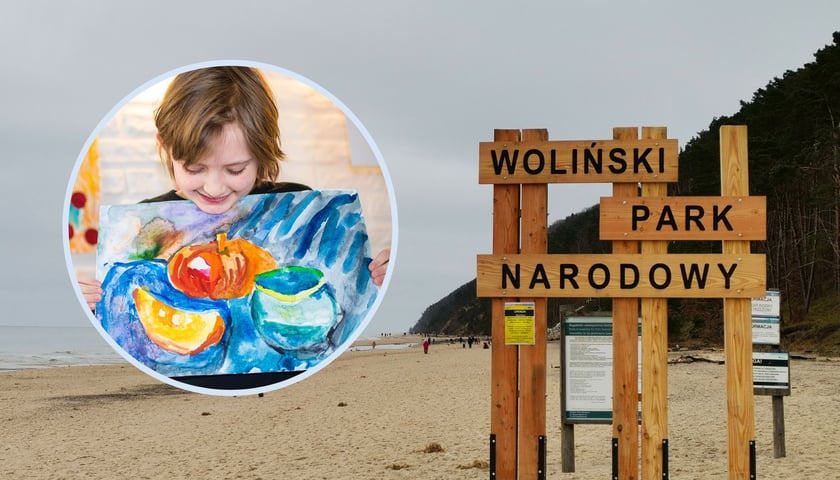 W tle: Woliński Park Narodowy, w kółku: chłopiec z pracą plastyczną (zdjęcie ilustracyjne)