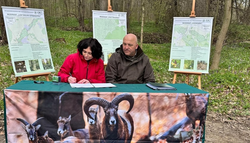 Podpisanie decyzji o ustanowieniu nowych rezerwatów przyrody na Dolnym Śląsku. Na zdjęciu Katarzyna Łapińska (RDOŚ Wrocław), Jan Dzięcielski (RDLP Wrocław). Na zdjęciu przy stole ustawionym w lesie siedzą dwie osoby, kobieta podpisuje dokumenty