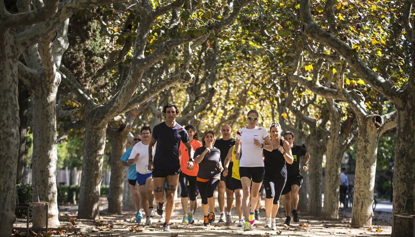 30.03 – rozgrzewka przed Wings For Life World Run