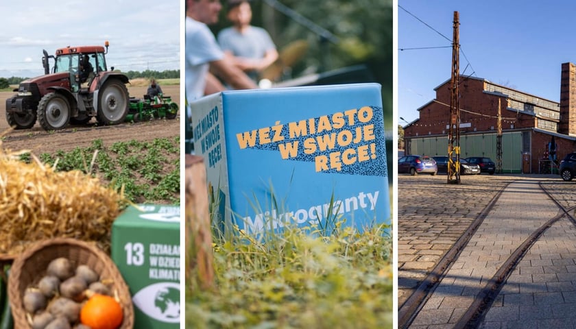 Na zdjęciach: od lewej Miejska Farma, Mikrogranty i Czasoprzestrzeń  