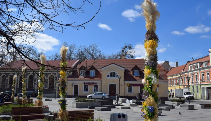 Palmy na Rynku Psiego Pola