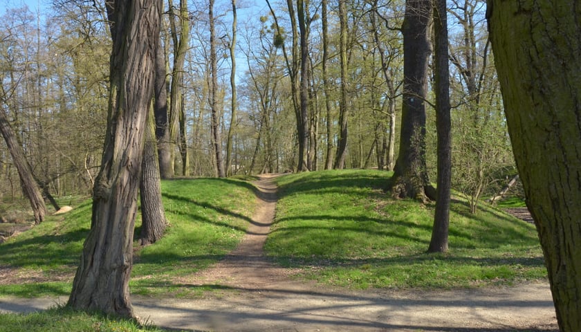 <p>Gr&oacute;dek typu motte Złotniki Małe w parku Złotnickim</p>