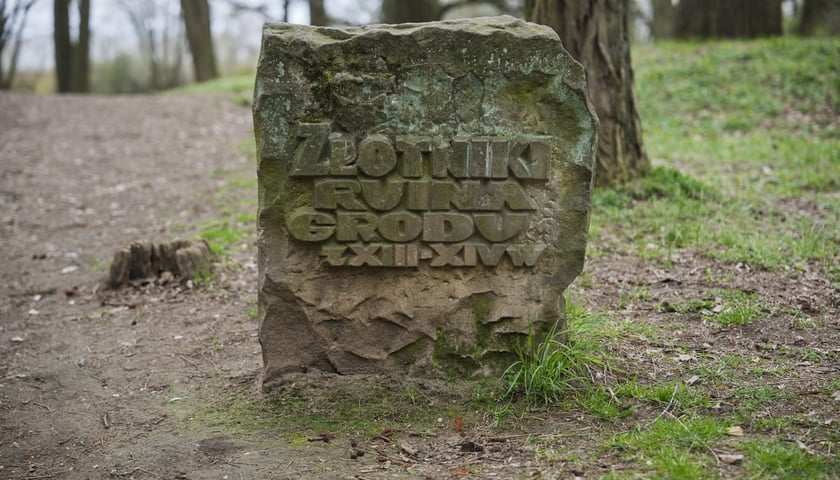 <p>Gr&oacute;dek typu motte Złotniki Małe w parku Złotnickim</p>