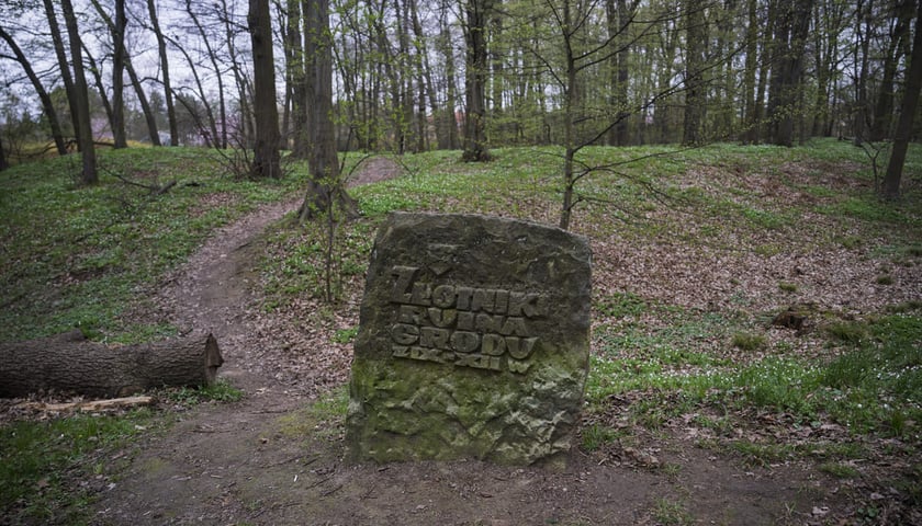 <p>Wczesnośredniowieczne grodzisko w parku Złotnickim</p>