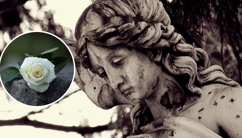 Kolaż dwóch zdjęć – na dużym figura anioła z nagrobka, na małym biała róża