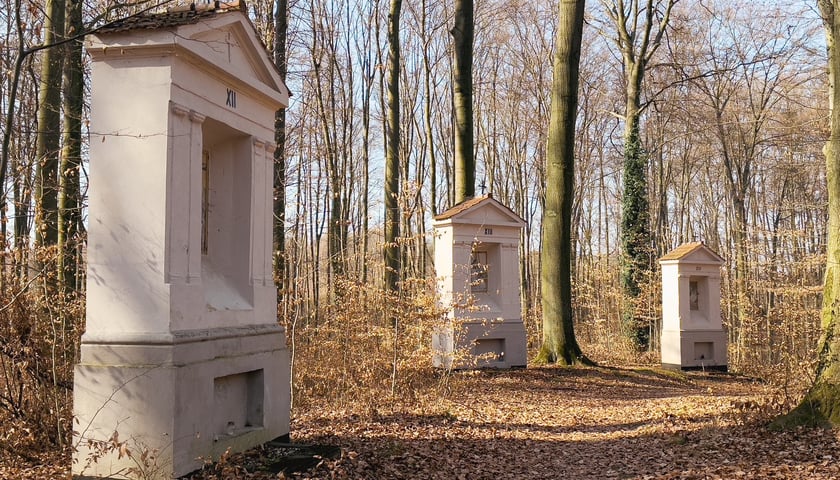 <p>Trzy kapliczki Kalwarii Trzebnickiej</p>