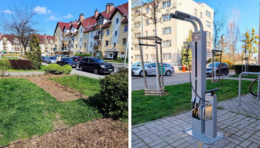 Nowe nasadzenia zieleni i stacja naprawy rowerów na osiedlu TBS Wrocław