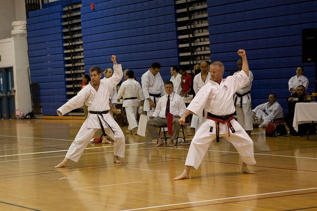Wrocław stolicą karate