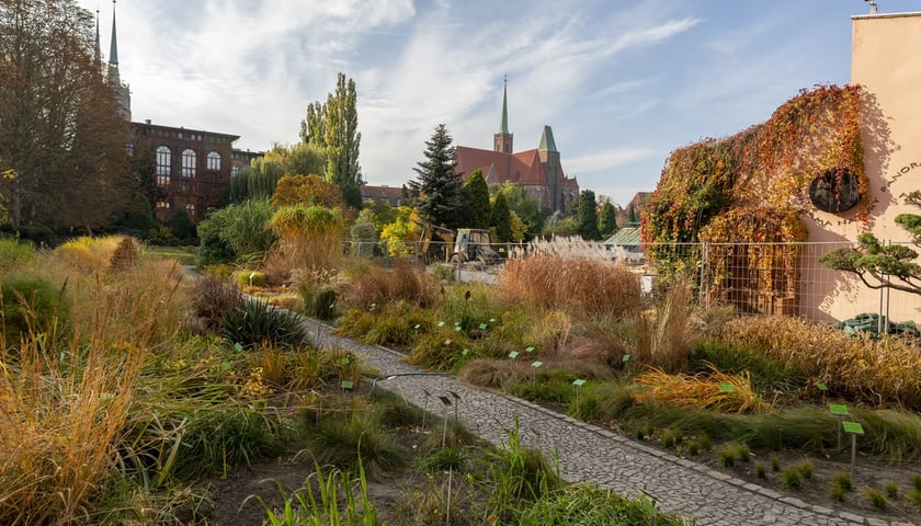 Ostatni weekend w ogrodach botanicznym i japońskim