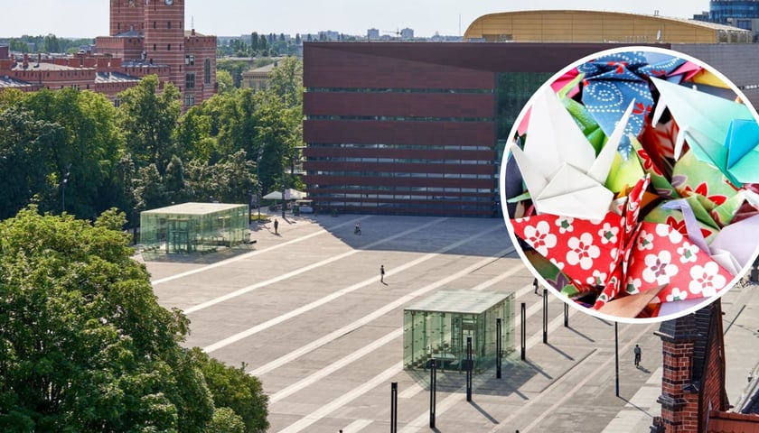 W tle plac Wolności we Wrocławiu, w kółku kolorowe żurawie origami. Zdjęcia ilustracyjne