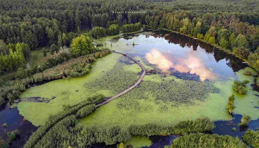 Zalew w arboretum w Stradomii widziany z lotu ptaka, z kładką przez wodę