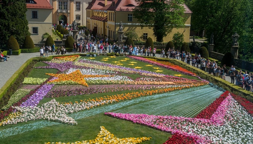 Dywany z kwiatów w różnych kolorach na dziedzińcu zamku Książ