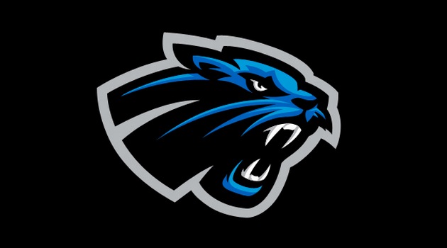 Pantery ze świątecznym teledyskiem (FILM)