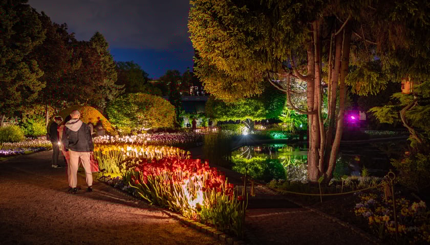 Podświetlone kwiaty w Ogrodzie Botanicznym