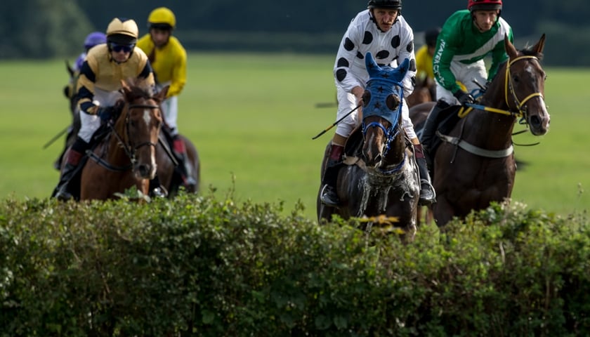 Partynice przygotowują się do sezonu (FILM)