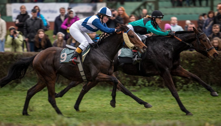 Rusza sezon wyścigów konnych (WIDEO)