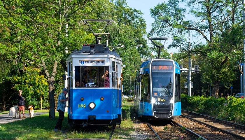 Zabytkowy tramwaj Linke-Hofmann Standard nieopodal zoo mijany przez nowoczesna Pesę 146N 