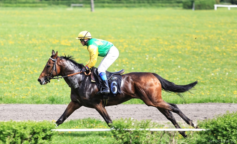 Ruszył sezon jeździecki na Partynicach (ZDJĘCIA)