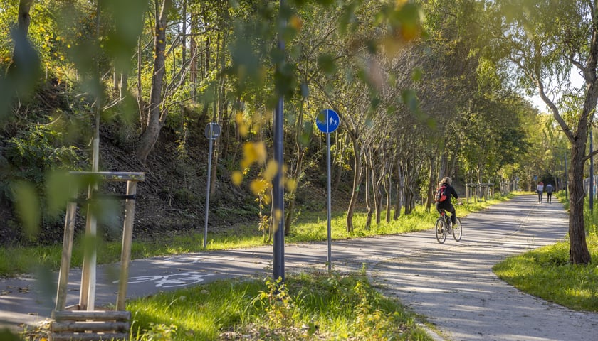 Promenada Krzycka 