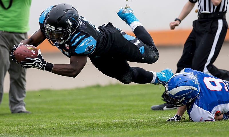 Pantery podejmą Warsaw Eagles