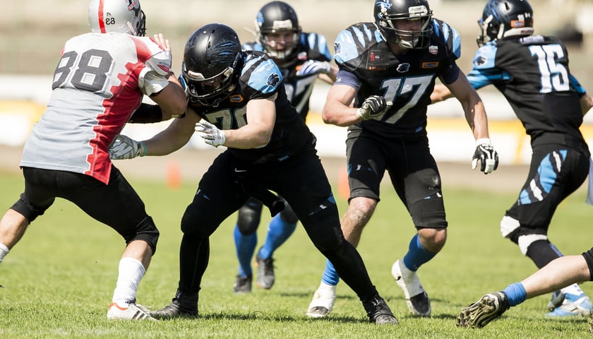 Pantery ponownie bezkonkurencyjne