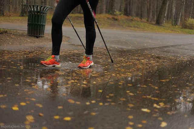 14 czerwca 4. mistrzostwa Wrocławia w Nordic Walking [WIDEO]