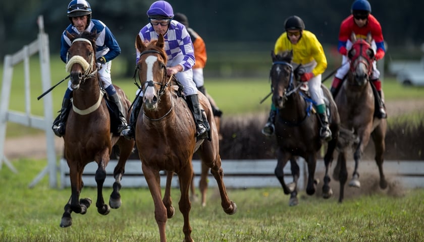 Partynice: w niedzielę Dzień Prezydencki z gwiazdami