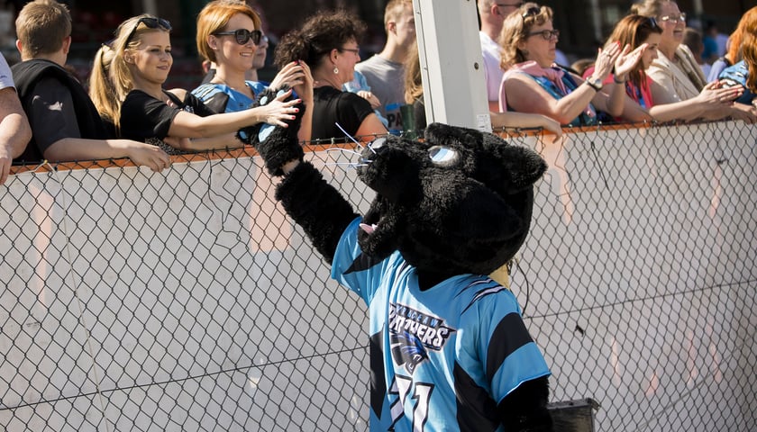 Pantery zagryzły Seahawks