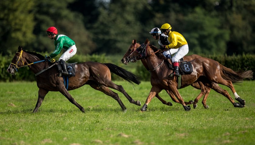 Udany koniec pierwszej połowy sezonu na Partynicach