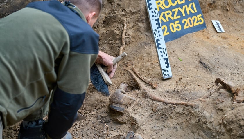 Prace archeologiczne specjalistów z Pracowni POMOST na cmenatrzu na Krzykach