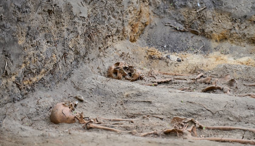 Prace archeologiczne specjalistów z Pracowni POMOST na cmenatrzu na Krzykach