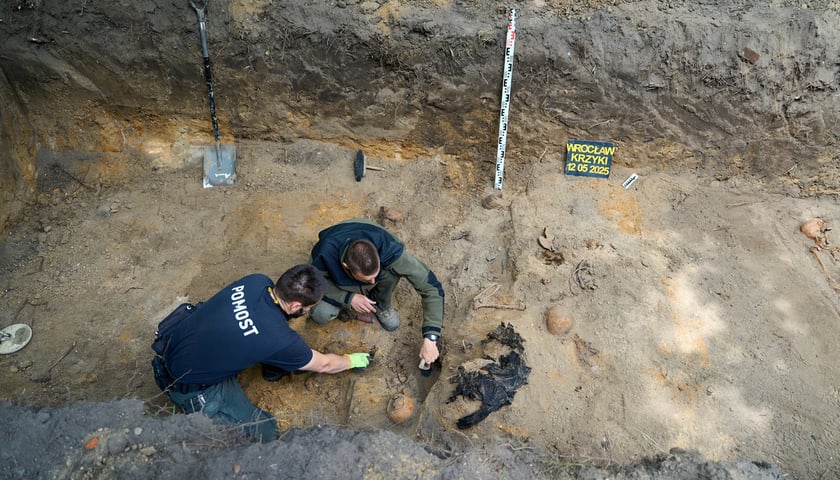 Prace archeologiczne specjalistów z Pracowni POMOST na cmentarzu przy ul. Krzyckiej