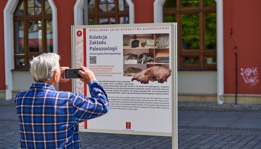 Plenerowa wystawa "Wrocław na szlaku dziedzictwa akademickiego" przy ul. Kuźniczej. Na zdjęciu mężczyzna przed tablicą informującą o jednym z muzeów
