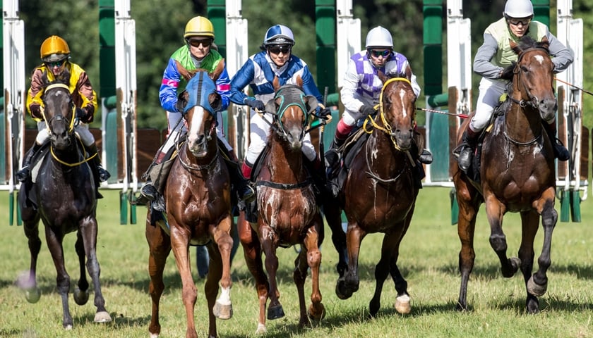 Makler triumfował w Wielkiej Partynickiej