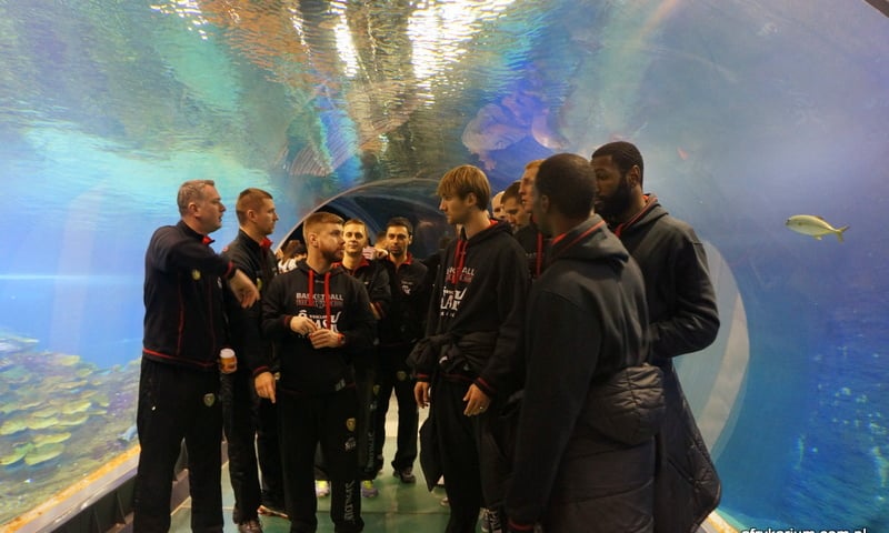Koszykarze pozowali w Afrykarium [ZDJĘCIA]