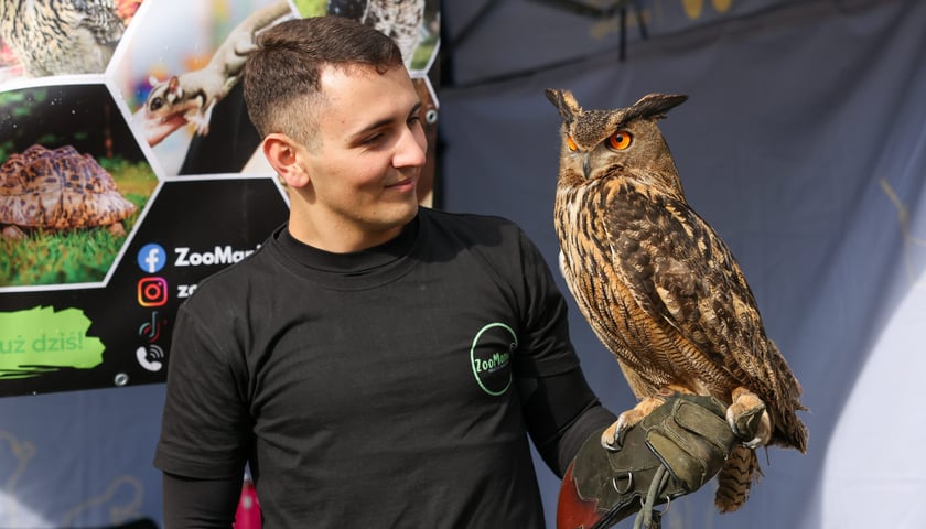 Piknik rodzinny na Praczach Odrzańskich