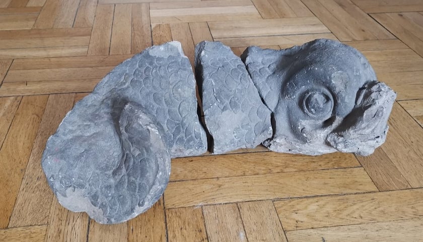 Delfin z fontanny Neptuna w muzeum w Sycowie 