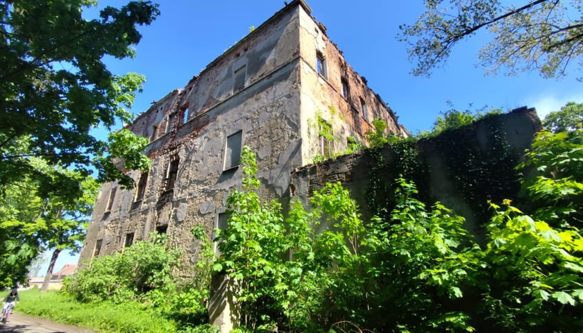 <p>Ruiny pałacu von Zedlitza w Czerńczycach, oddalonych ok. 25 km od Wrocławia</p>