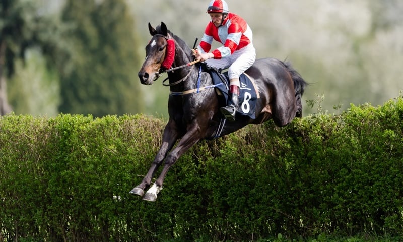 Nowy sezon wyścigów na Partynicach [ZDJĘCIA]