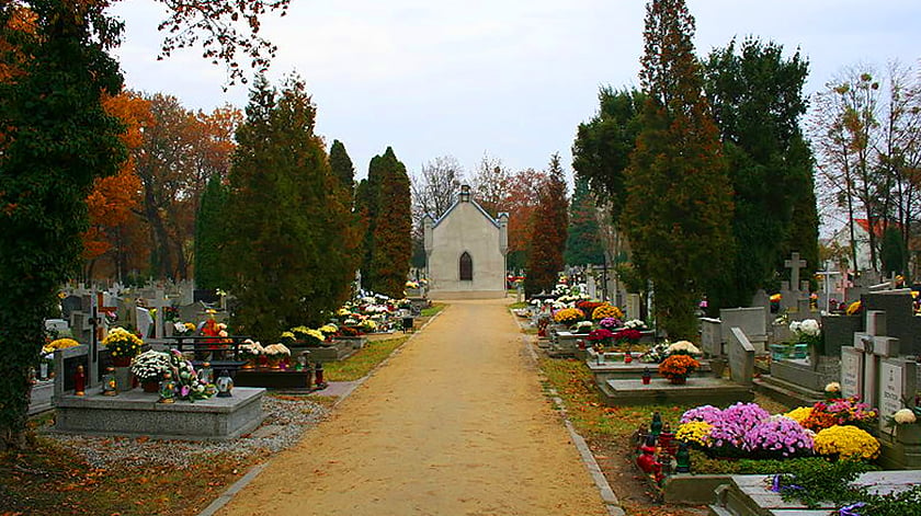 Cmentarz Leśnicki