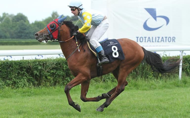 Delight My Fire zwyciężył Wrocławską Trial